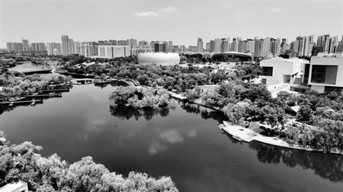 6月21日拍摄的菏泽市赵王河湿地公园及周边景色(无人机照片)。